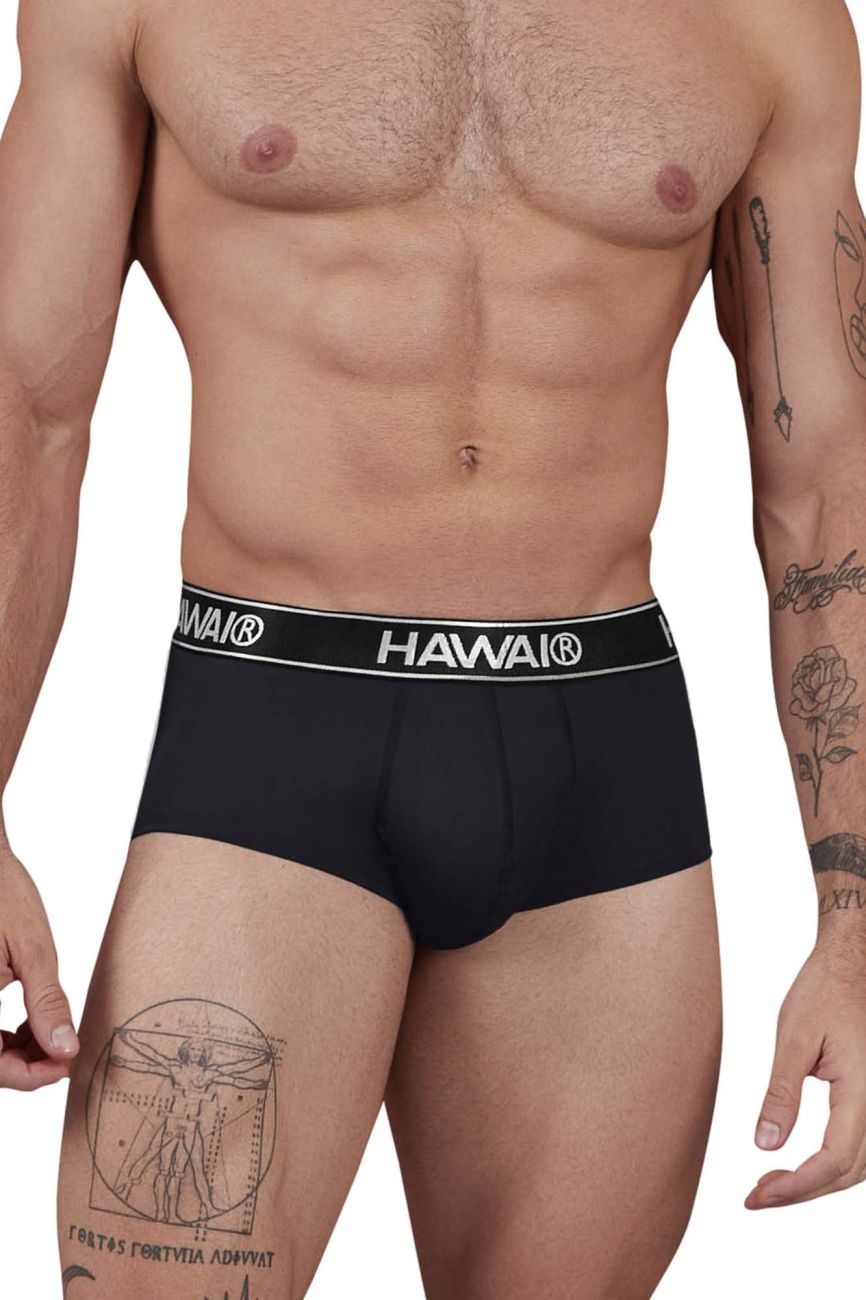 HAWAIR 41961 Mens Maximum Comfort Microfiber Briefs Black