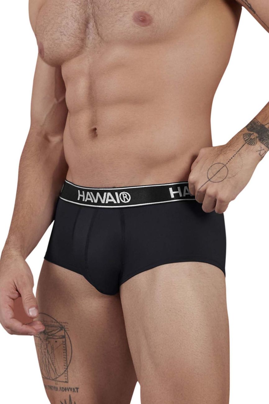 HAWAIR 41961 Mens Maximum Comfort Microfiber Briefs Black