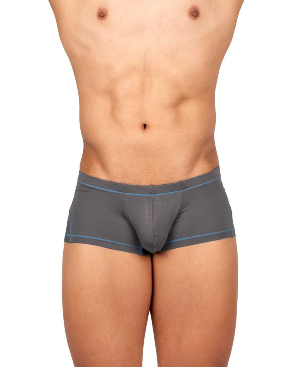 Private Structure EPUS4570 Prime Elysian Hipster Trunks Gray