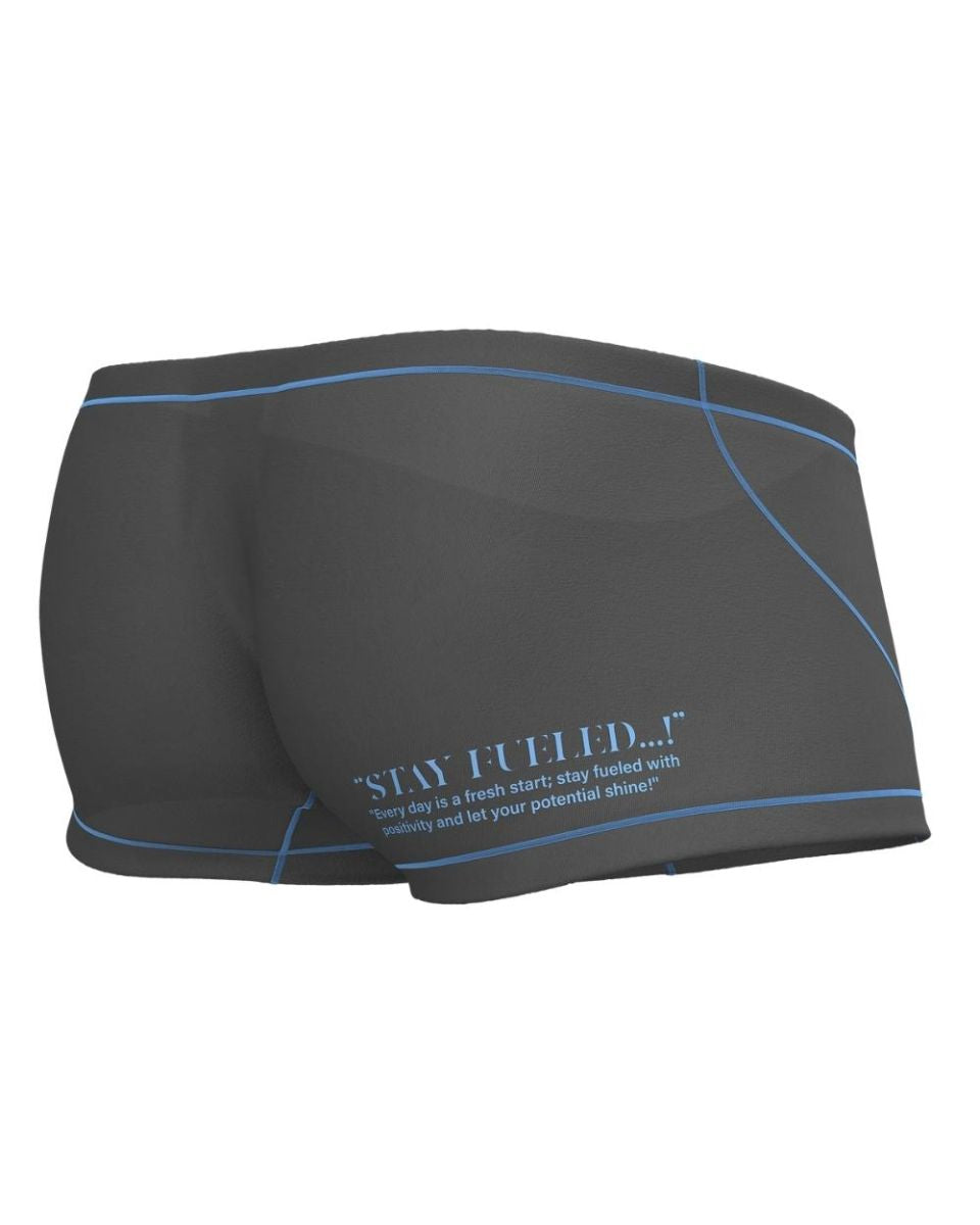 Private Structure EPUS4570 Prime Elysian Hipster Trunks Gray