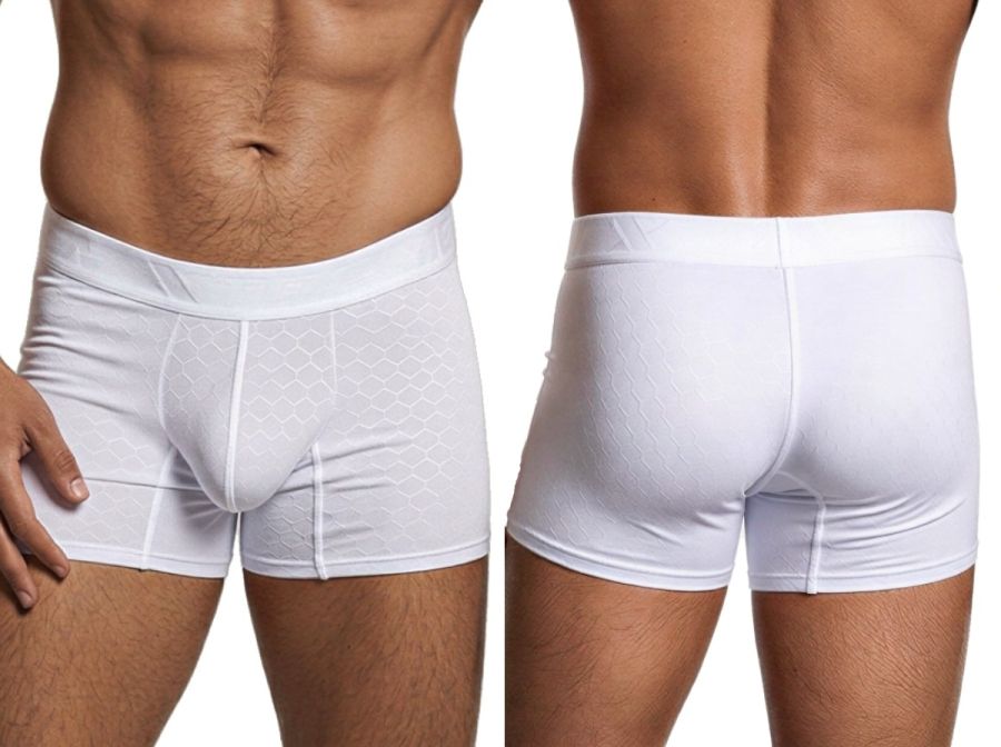 Xtremen 91256 Mens Soft & Comfortable Microfiber Boxer Briefs White