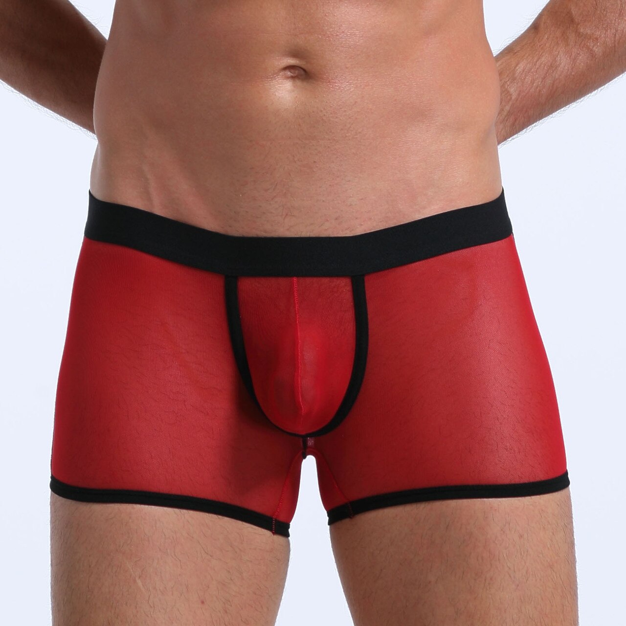 Underpants Mens Sexy Underwear Boxers Shorts Mesh Sheer Undies
