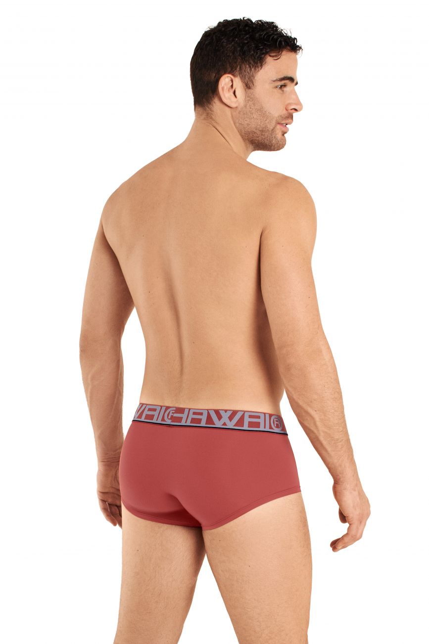 HAWAI 41961 Briefs Terracotta