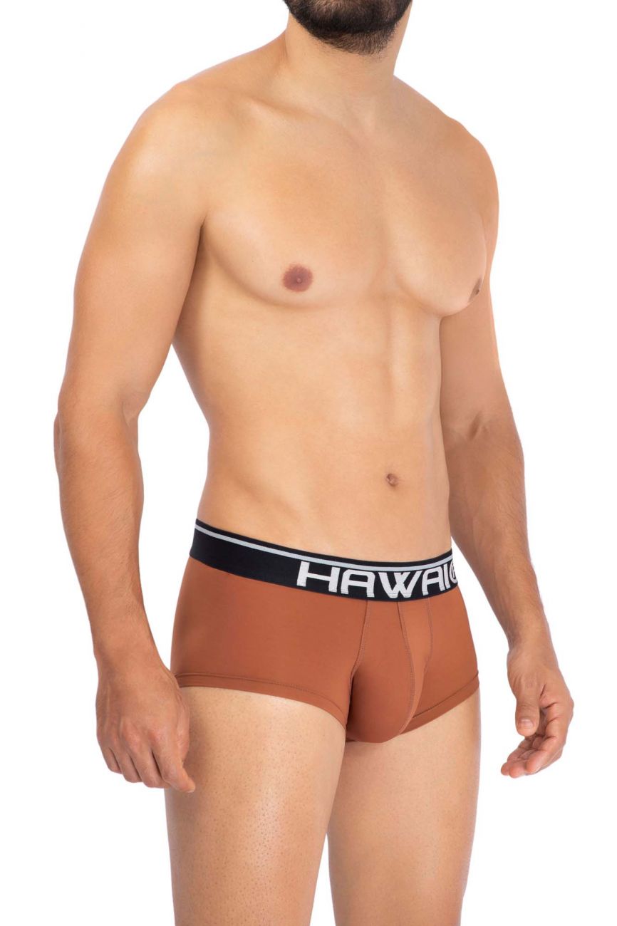 HAWAI 42181 Solid Microfiber Briefs Amber