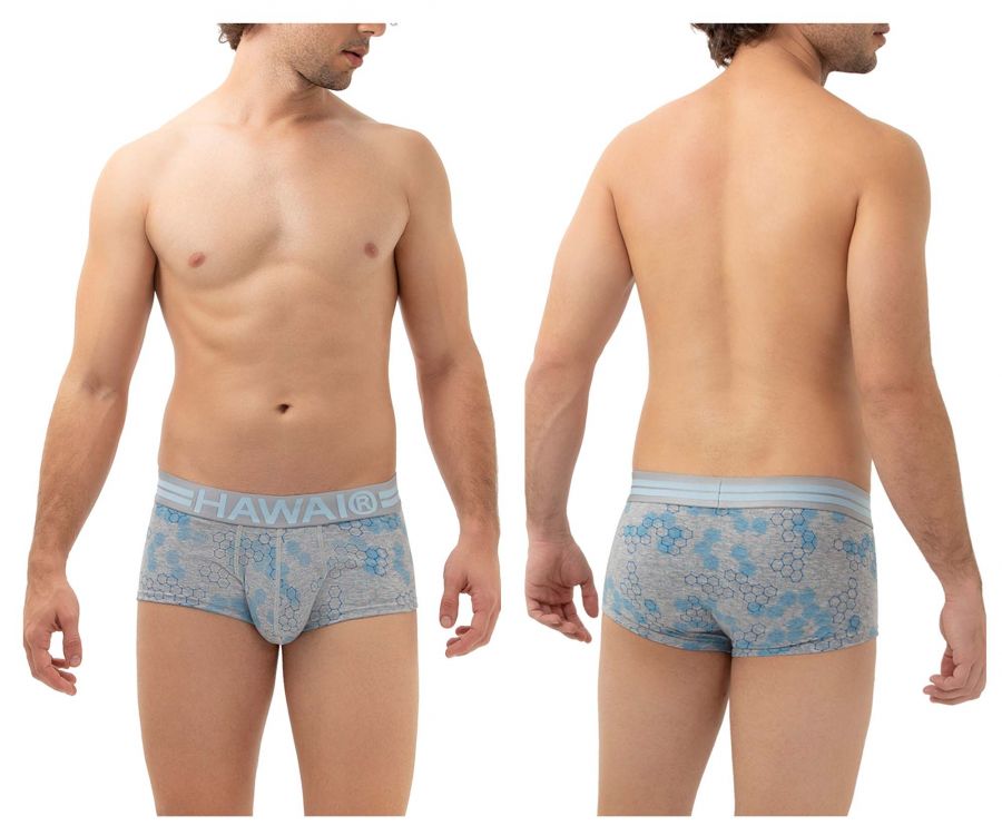 HAWAI 42231 Cotton Trunks Gray