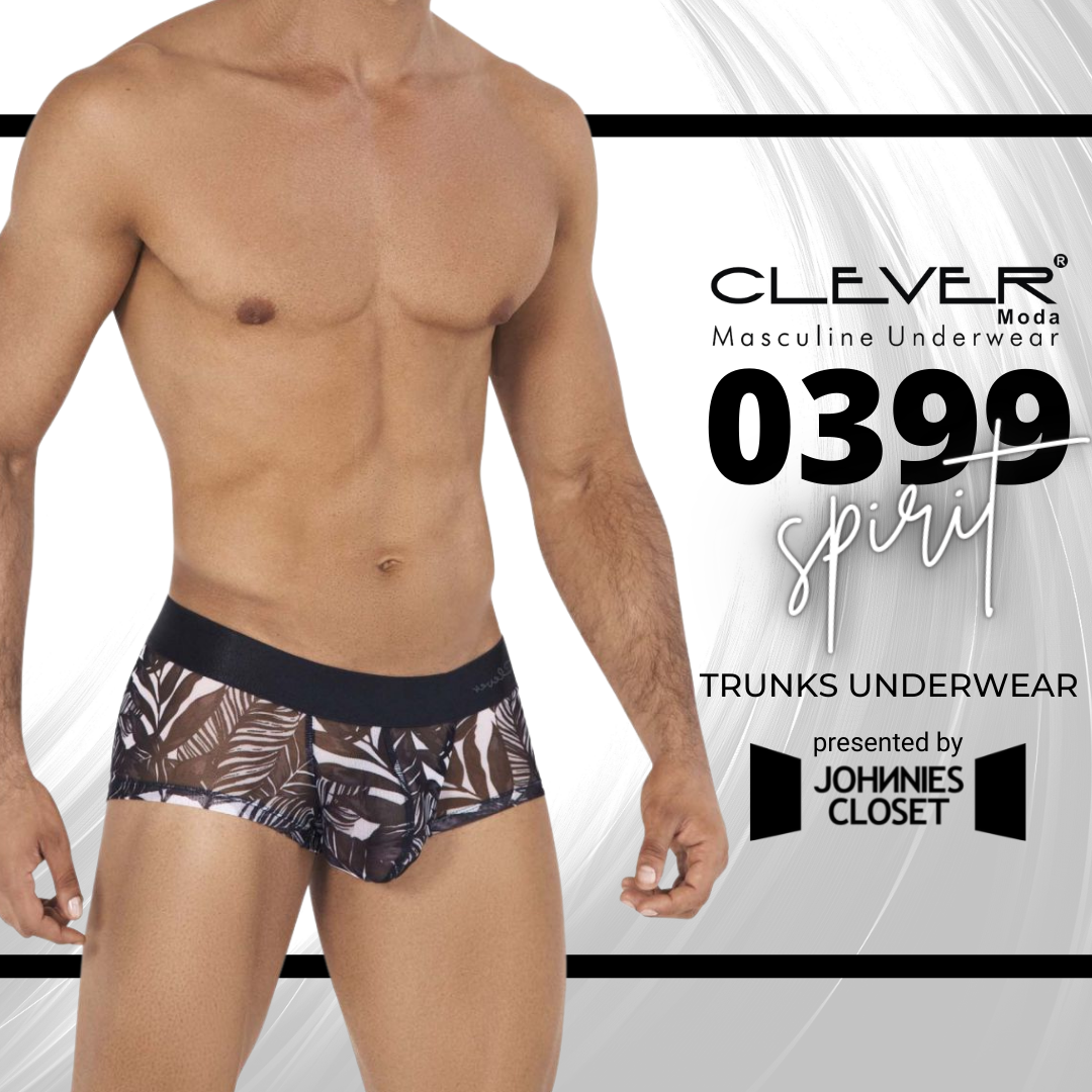 Subtlety is Sexy with the Stunning Clever Spirit Trunks Underwear for Men!