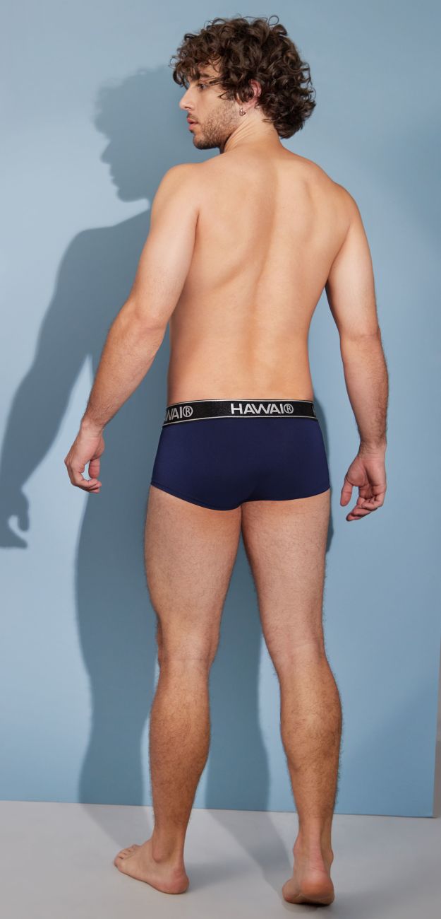 HAWAIR 41961 Mens Maximum Comfort Microfiber Briefs Dark Blue