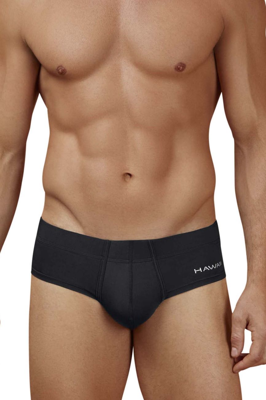 HAWAIR 42241 Microfiber Male All Day Briefs Black
