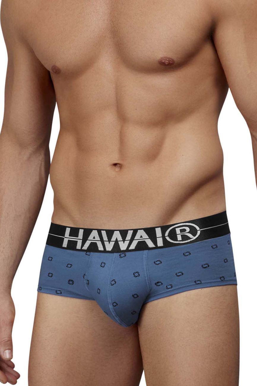 HAWAIR 42531 Cotton Blend Male Everyday Briefs Blue Quartz