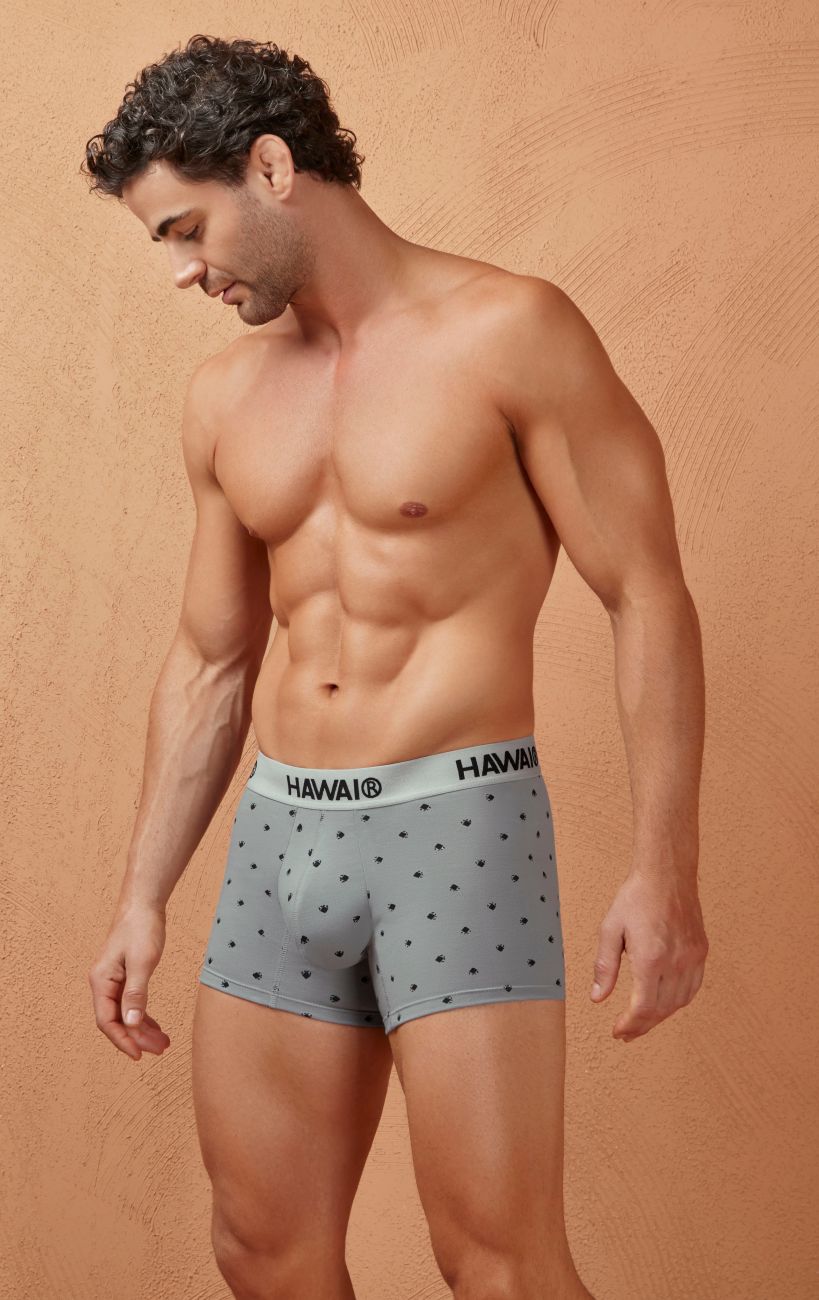 HAWAIR 42571 Cotton Blend Male Daily Wear Trunks Gray