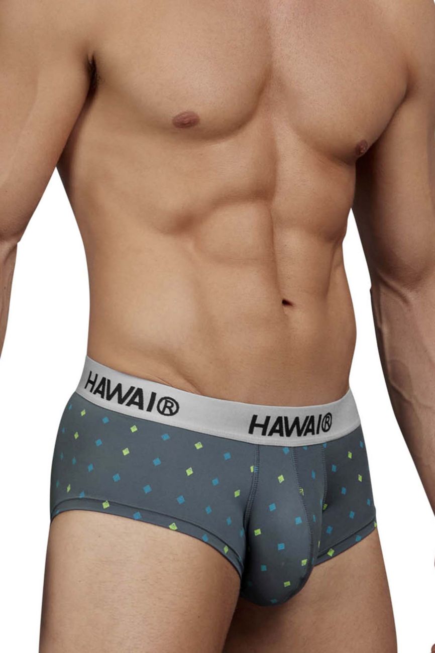 HAWAIR 42580 Male Sleek to Touch Microfiber Briefs Gray