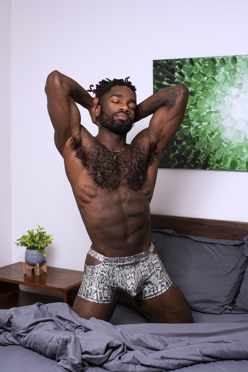 JCSTK - Male Power 153-282 S-naked Pouch Short Silver-Black