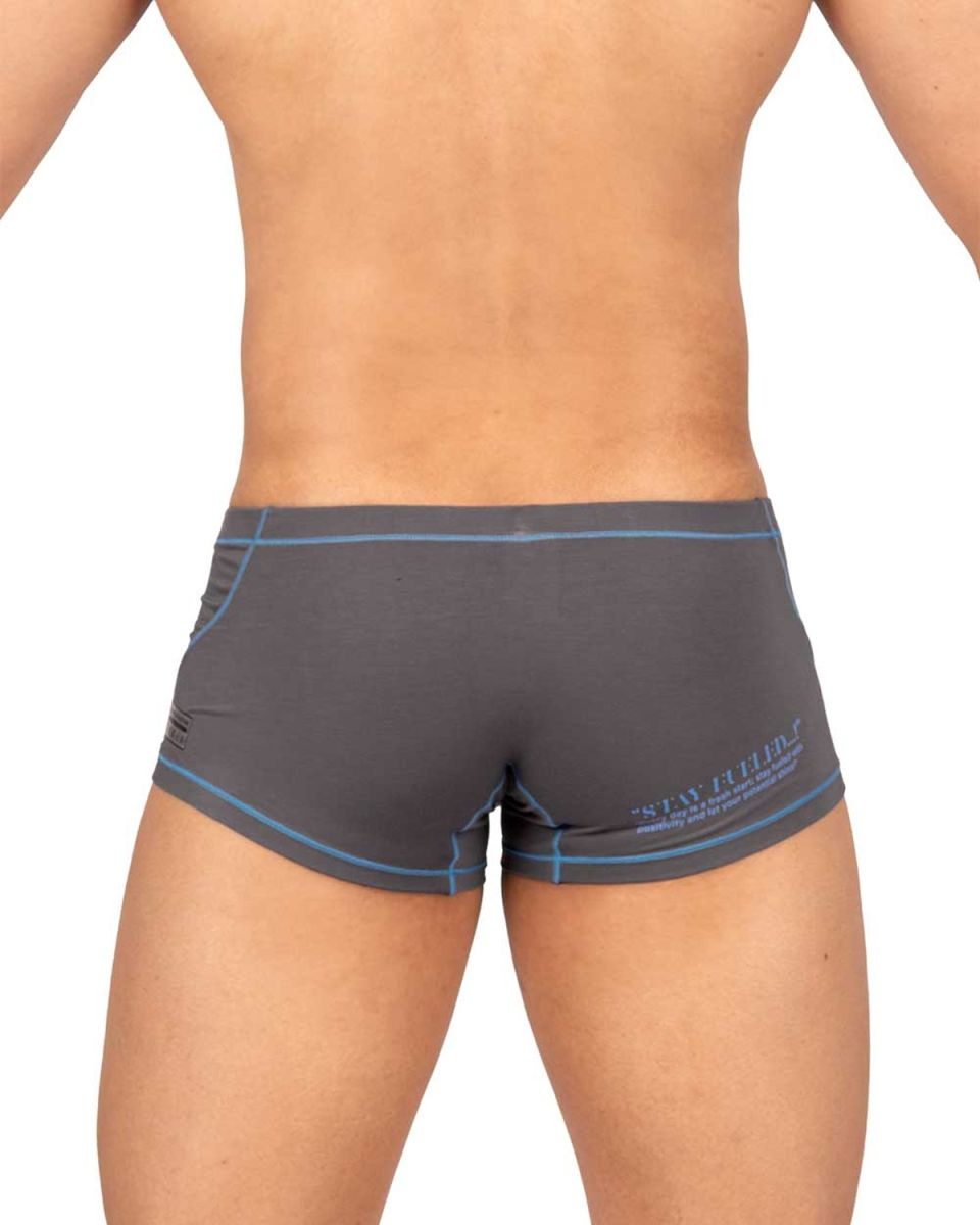 Private Structure EPUS4570 Prime Elysian Hipster Trunks Gray