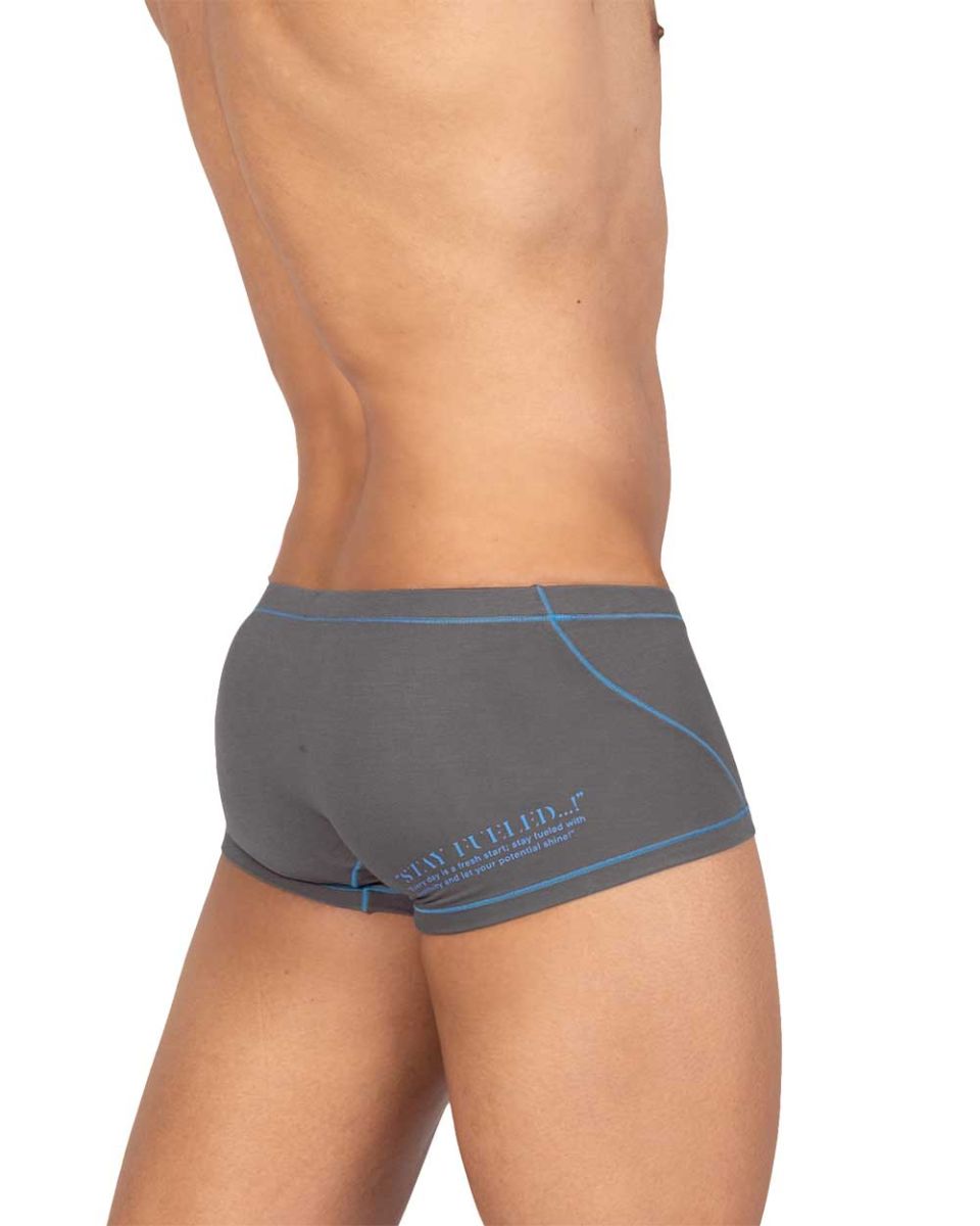 Private Structure EPUS4570 Prime Elysian Hipster Trunks Gray