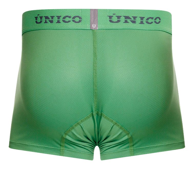 Unico 26020100119 Frog Mens Clean & Minimal Trunks Green Plus Sizes