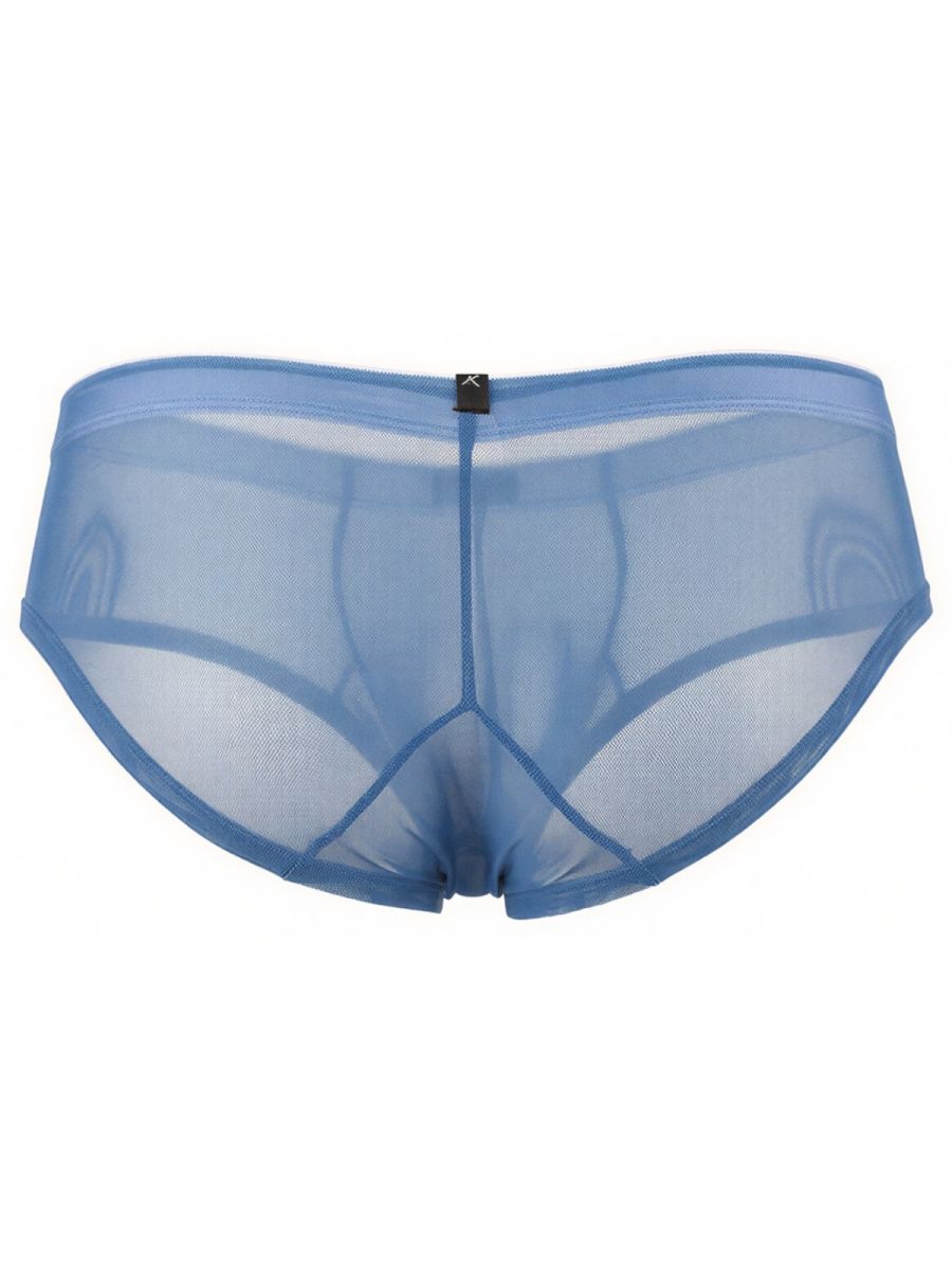 Xtremen 91263 Mens Sheer See-through Microfiber Mesh Briefs Blue