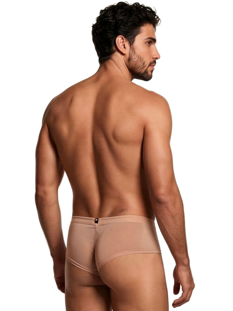 Xtremen 91263 Mens Sheer See-through Microfiber Mesh Briefs Brown