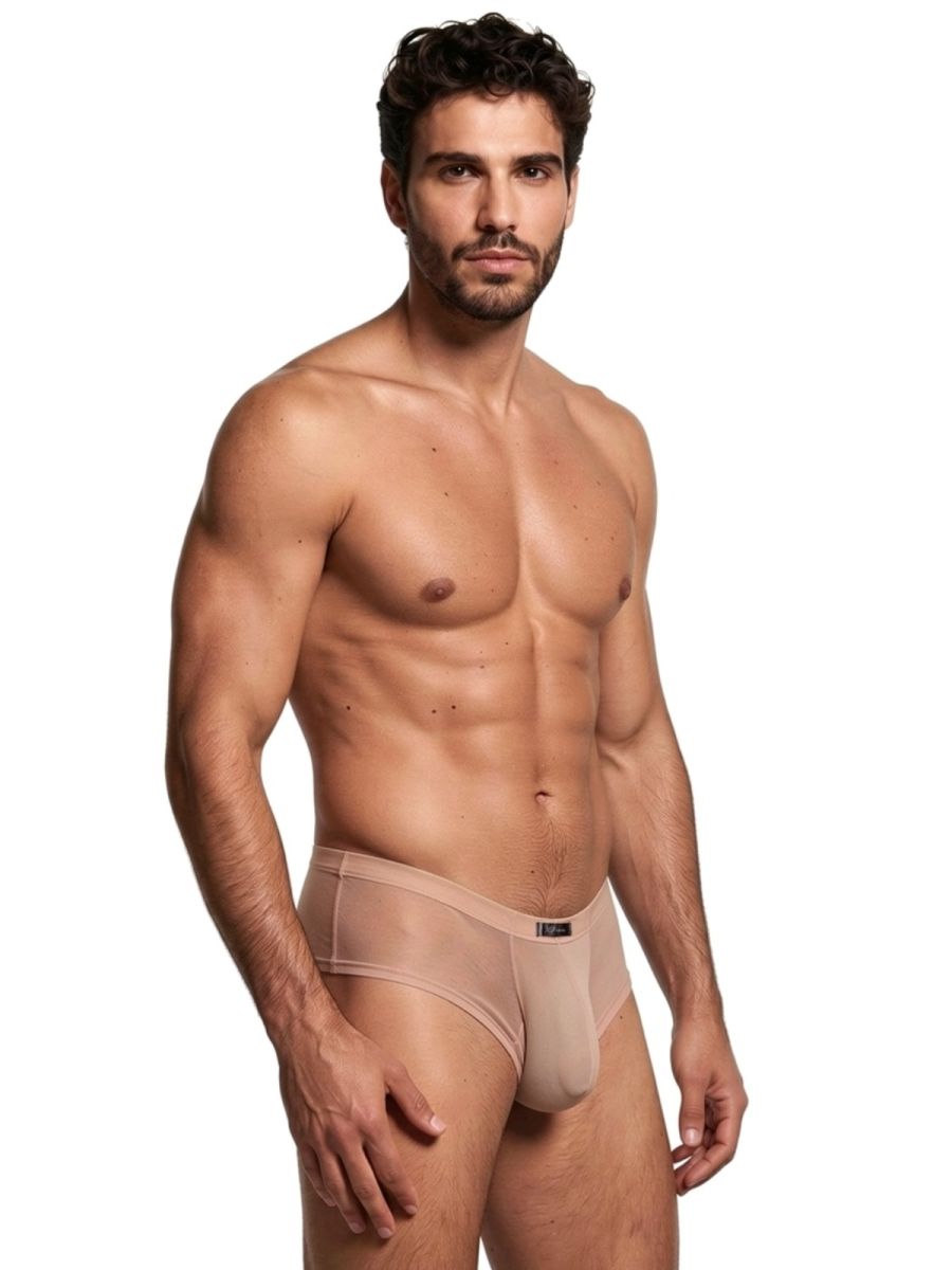 Xtremen 91263 Mens Sheer See-through Microfiber Mesh Briefs Brown