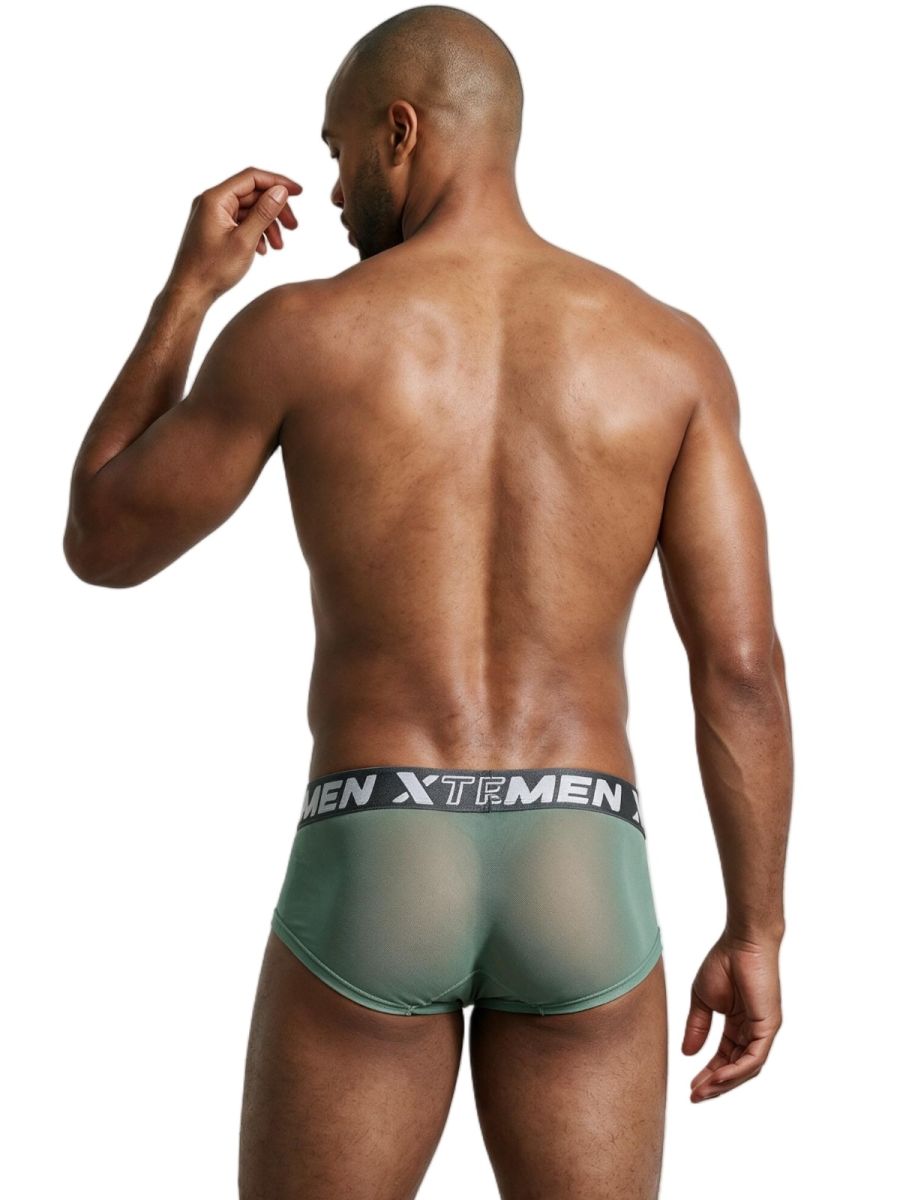 Xtremen 91279 Mens Microfiber Sheer Stretch Mesh Briefs Green