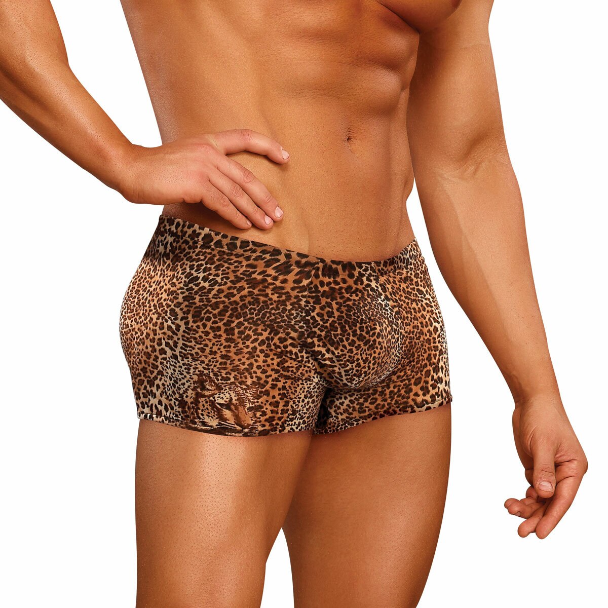 Animal Stretch Nylon Pouch Short