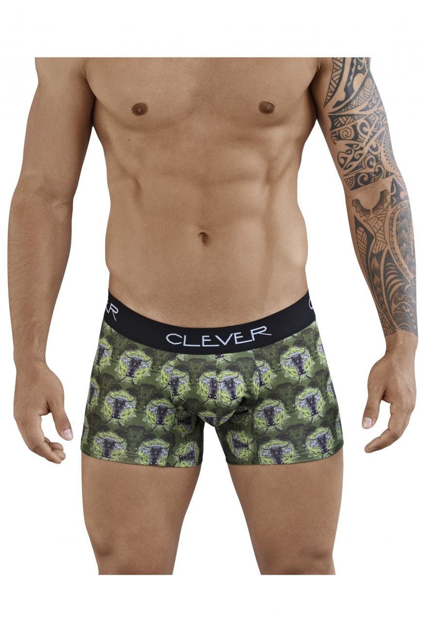 Clever 2385 Artemisia Boxer Briefs Green