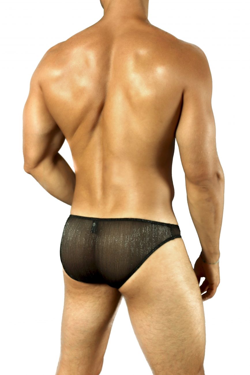Doreanse 1301-BLK Shimmering Sheer Brief
