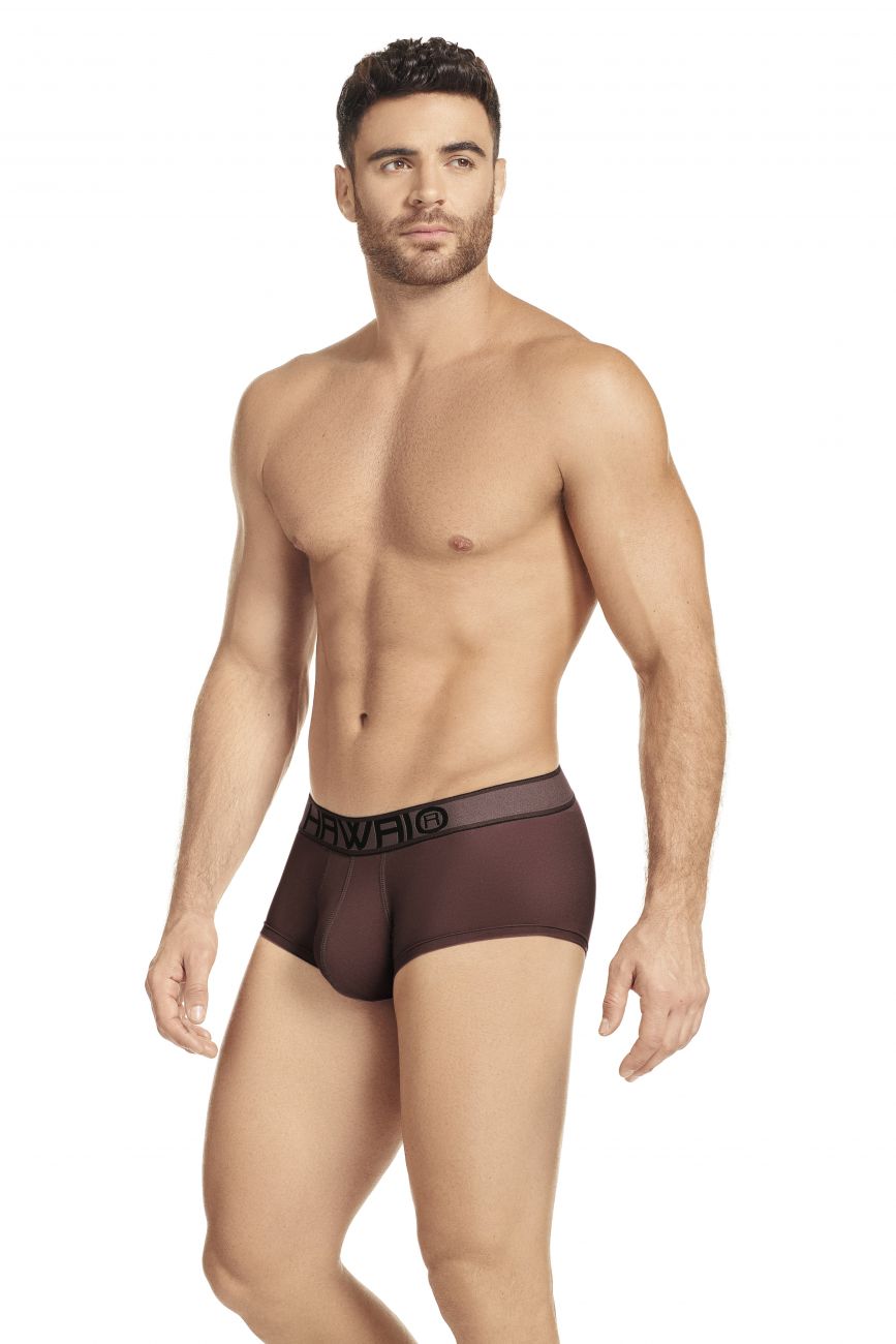 HAWAI 41961 Briefs Mahogany