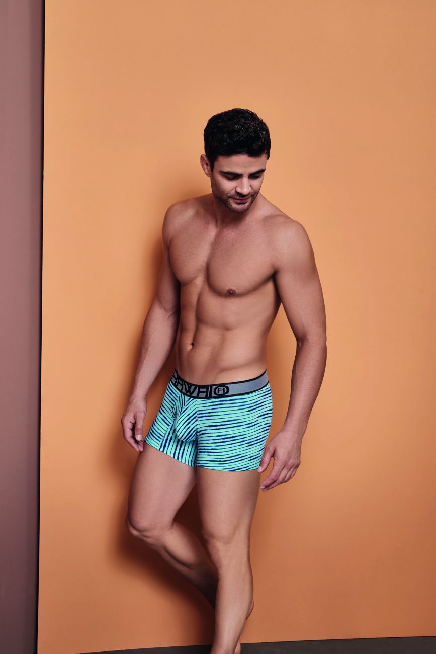 HAWAI 41972 Boxer Briefs Blue