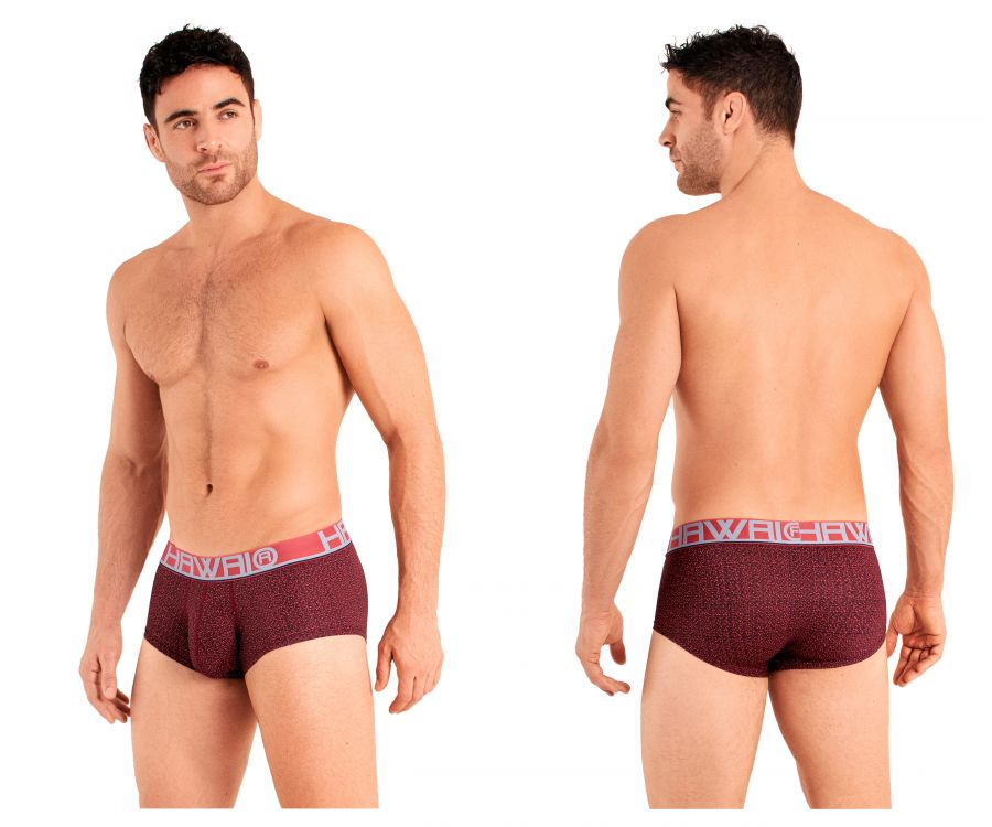 HAWAI 42024 Briefs Terracotta