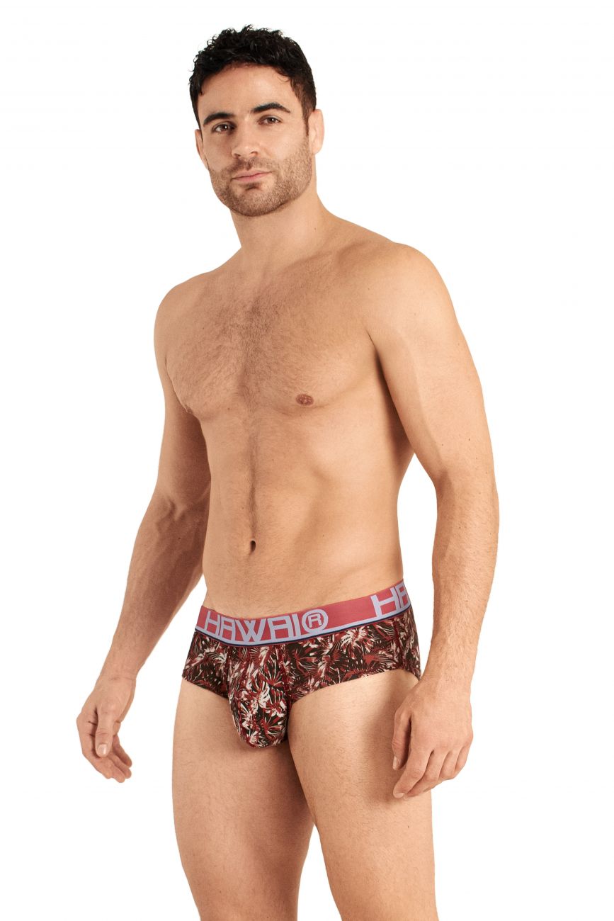 HAWAI 42026 Briefs Terracotta