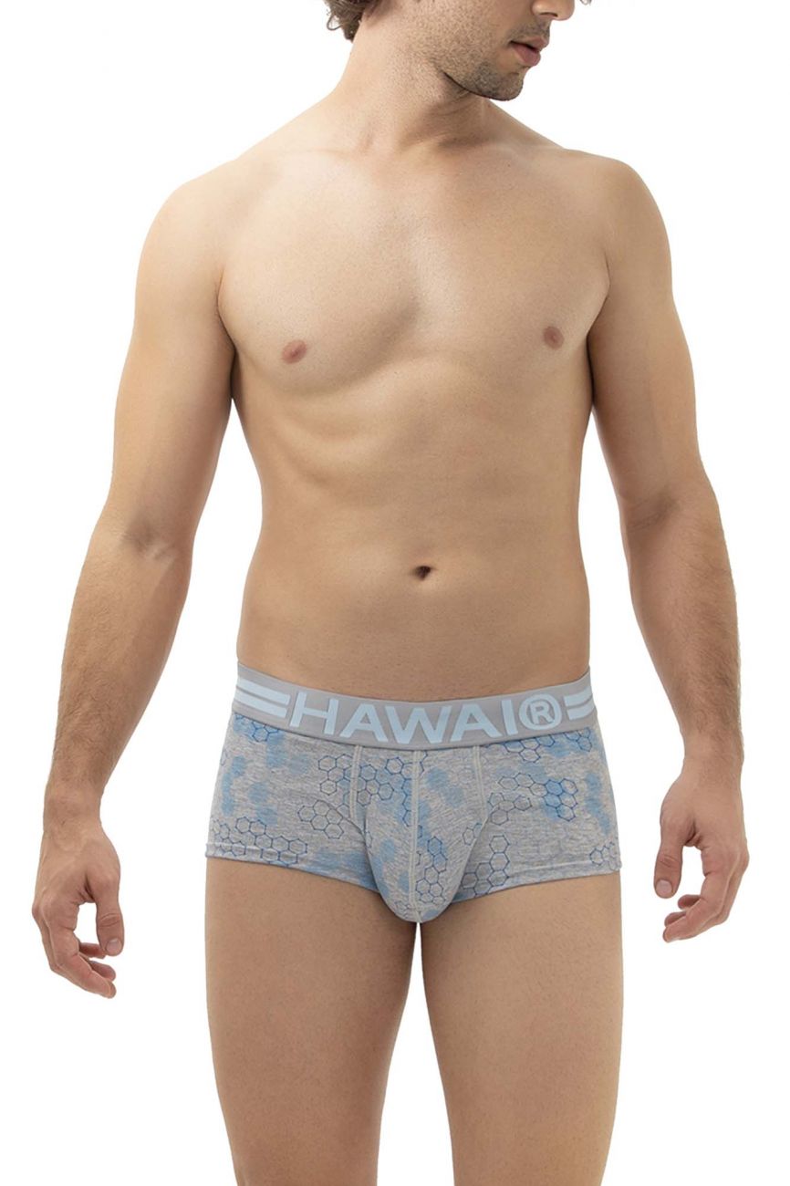 HAWAI 42231 Cotton Trunks Gray
