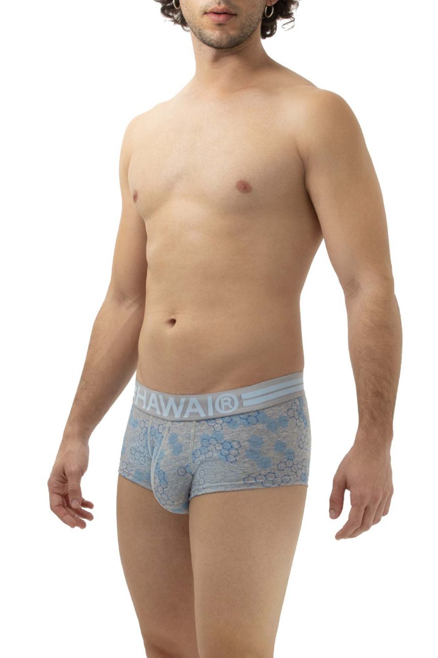HAWAI 42231 Cotton Trunks Gray