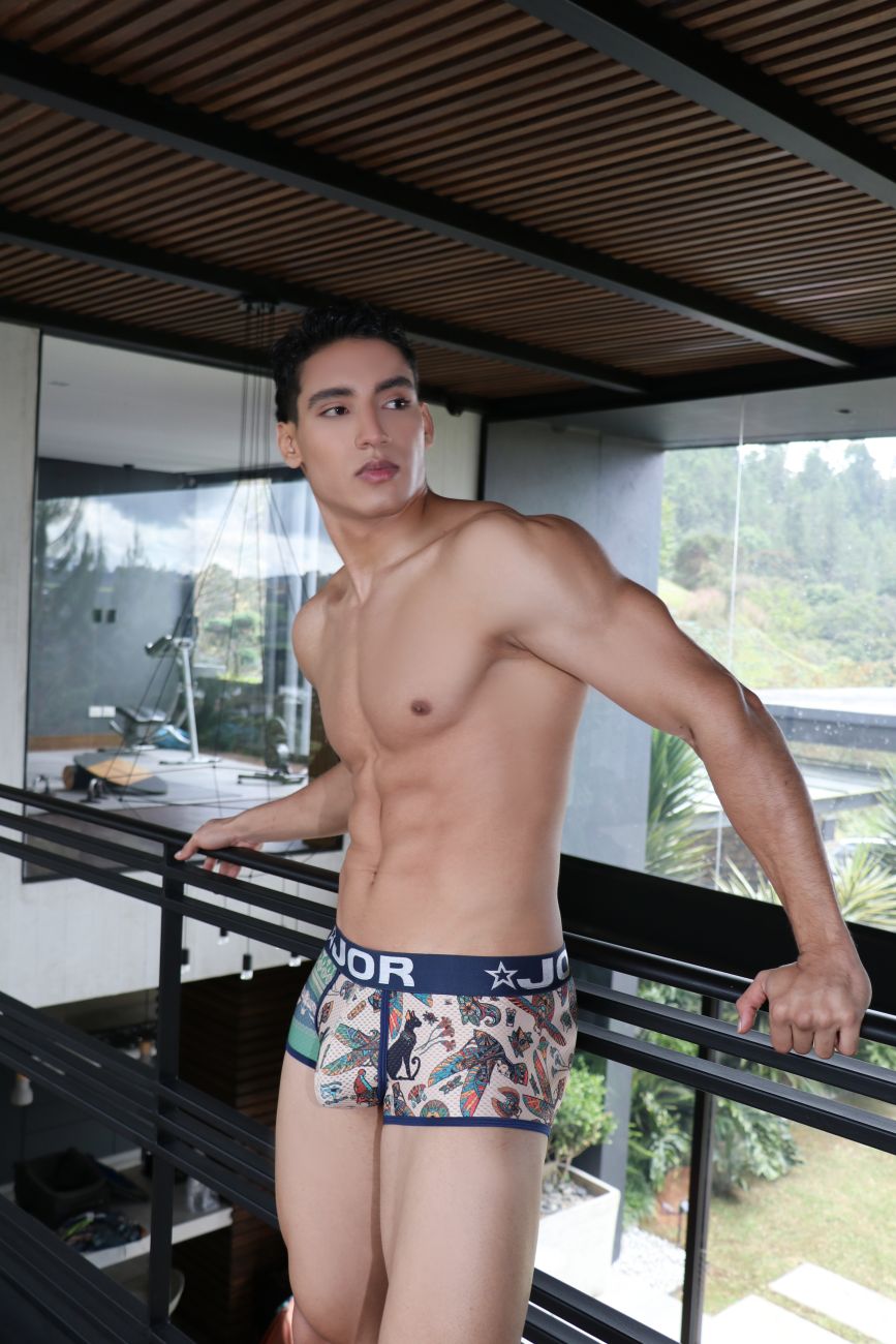 JOR 1875 Cairo Trunks Printed