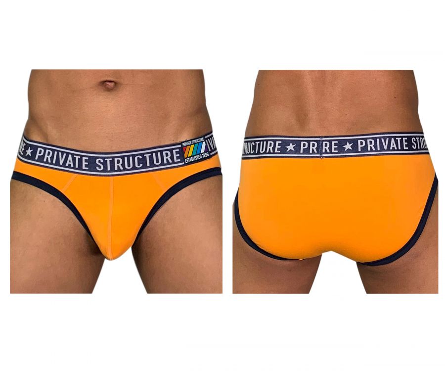 Private Structure EPUY4019 Pride Mini Briefs