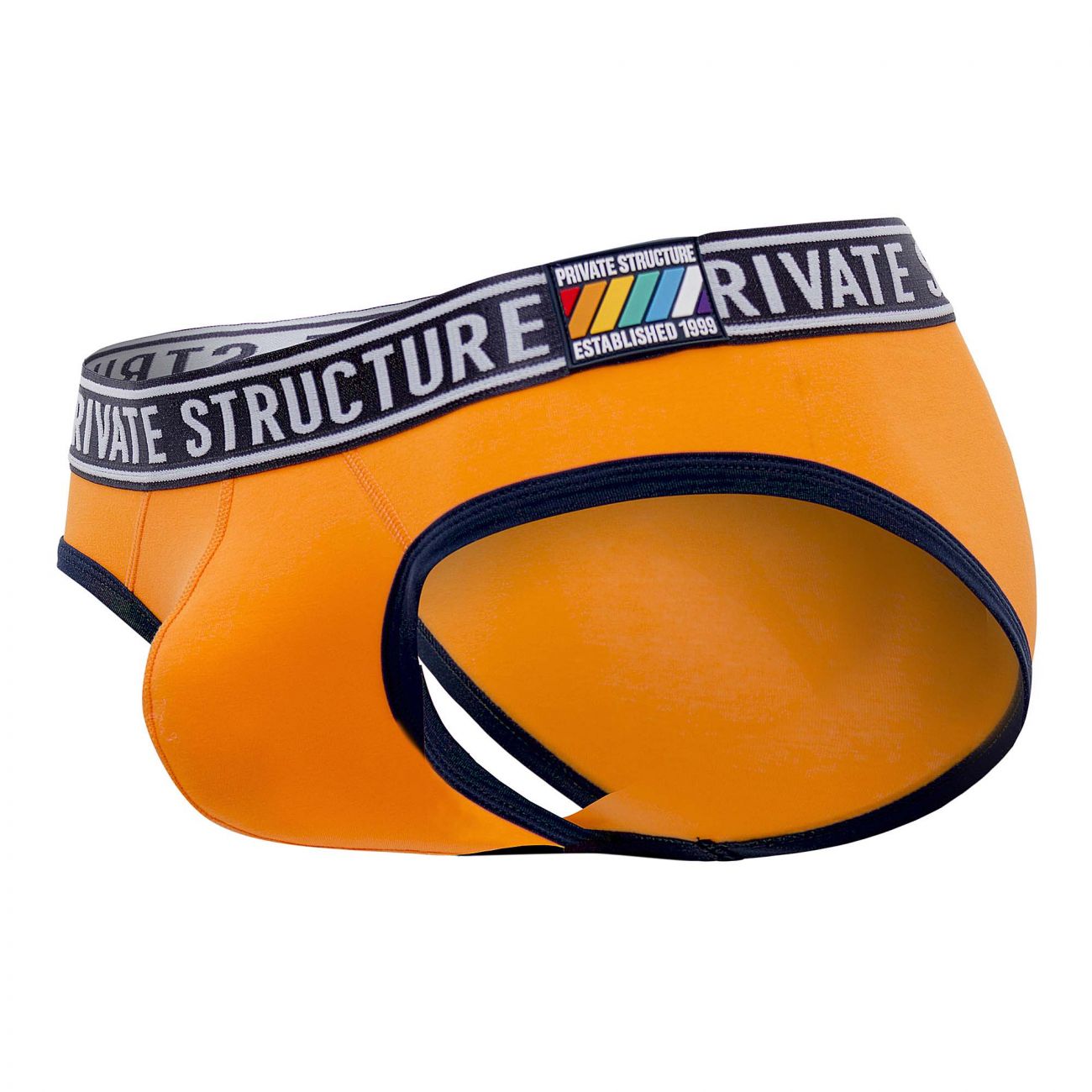 Private Structure EPUY4019 Pride Mini Briefs