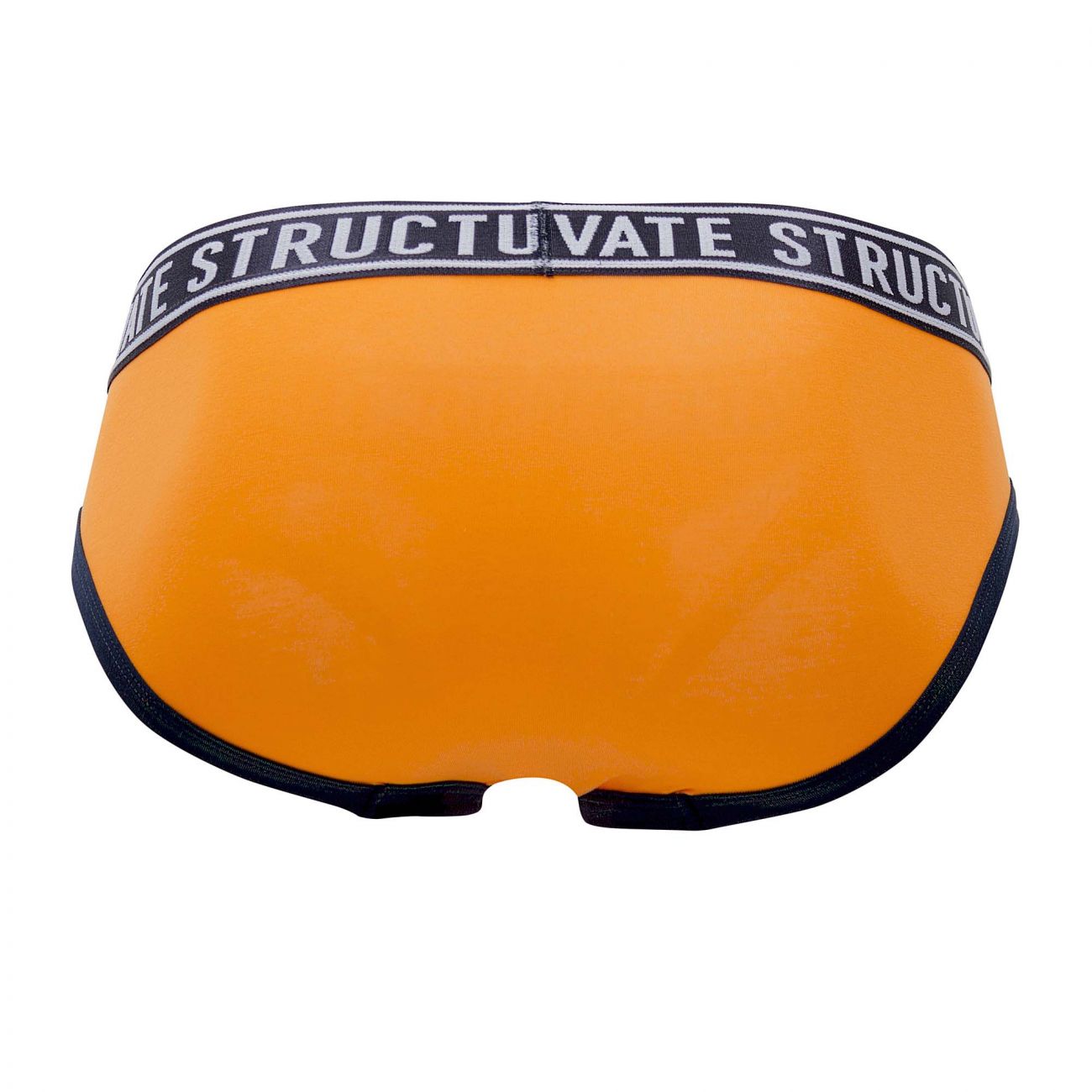 Private Structure EPUY4019 Pride Mini Briefs