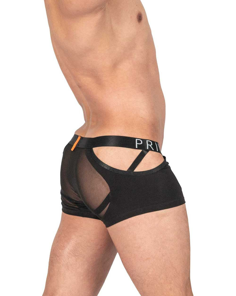 Private Structure LCUT4420 Alpha Low Waist Mesh Back Jockstrap Trunks Black