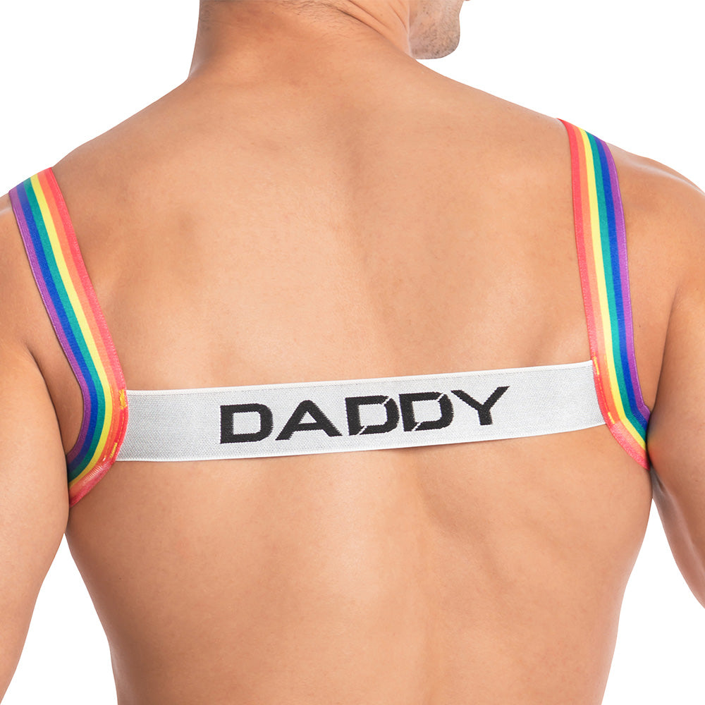 Daddy Underwear LGBT Color Harness Rainbow Plus Sizes