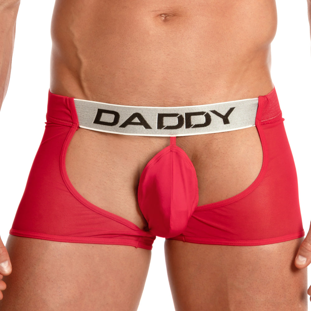 Daddy Underwear Sheer Assless Jock Red